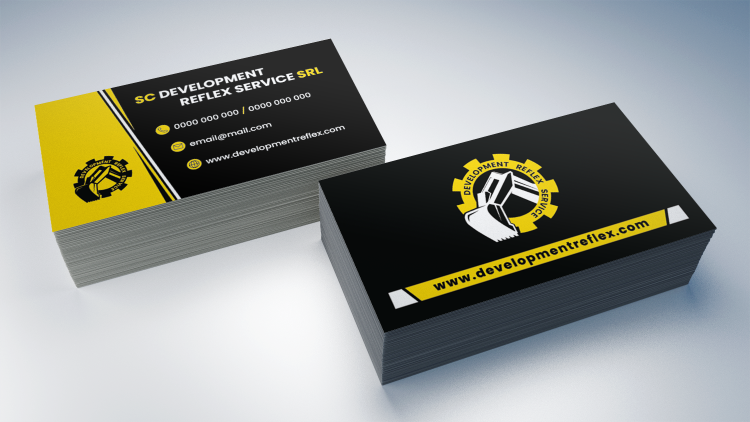 DEVELOPMENT REFLEX SERVICE cv mockup