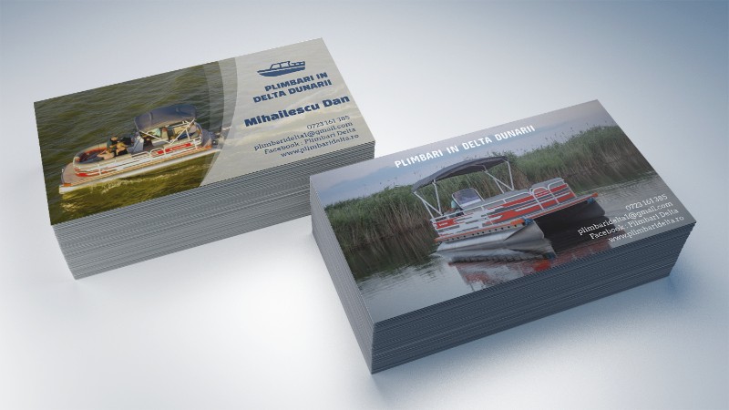 Plimbari delta carti de vizita