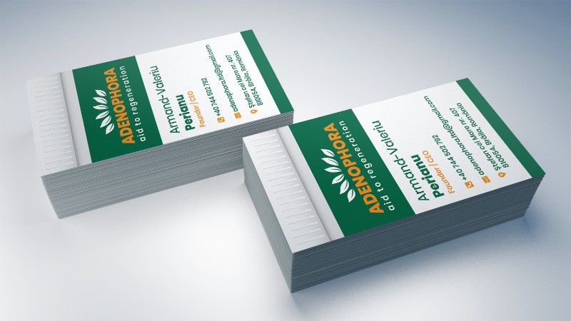 portofoliu-carti-de-vizita-adenophora-img