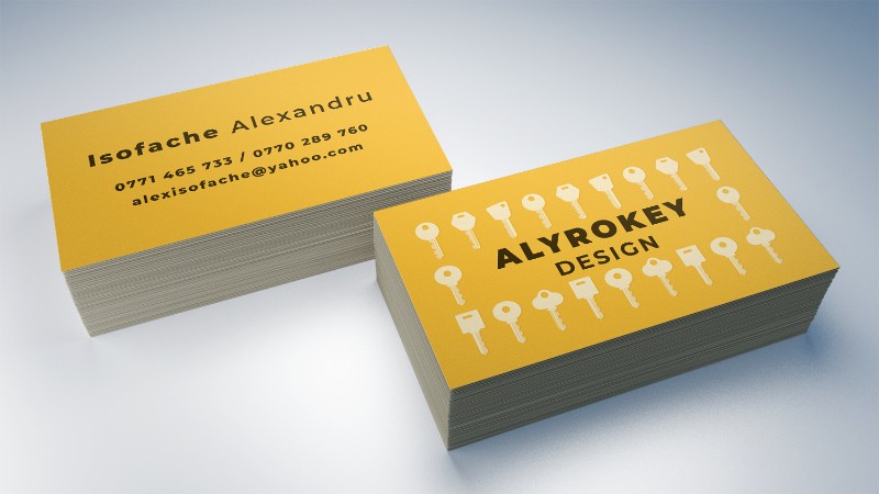 portofoliu-carti-de-vizita-alyrokey-design-img