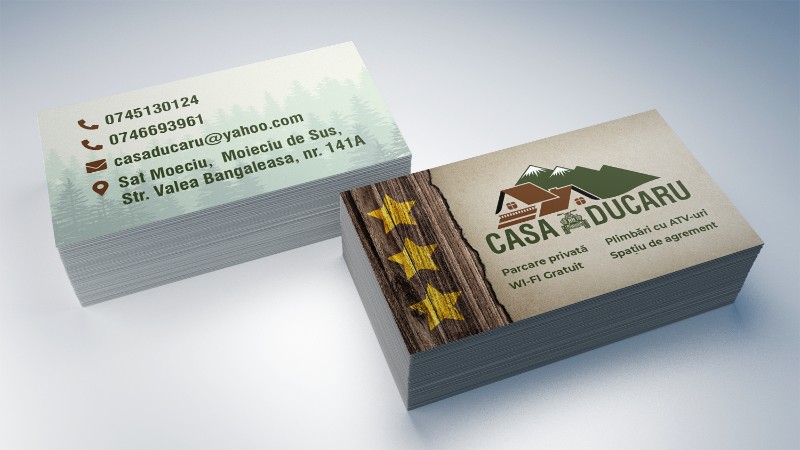 portofoliu-carti-de-vizita-casa-ducaru-img