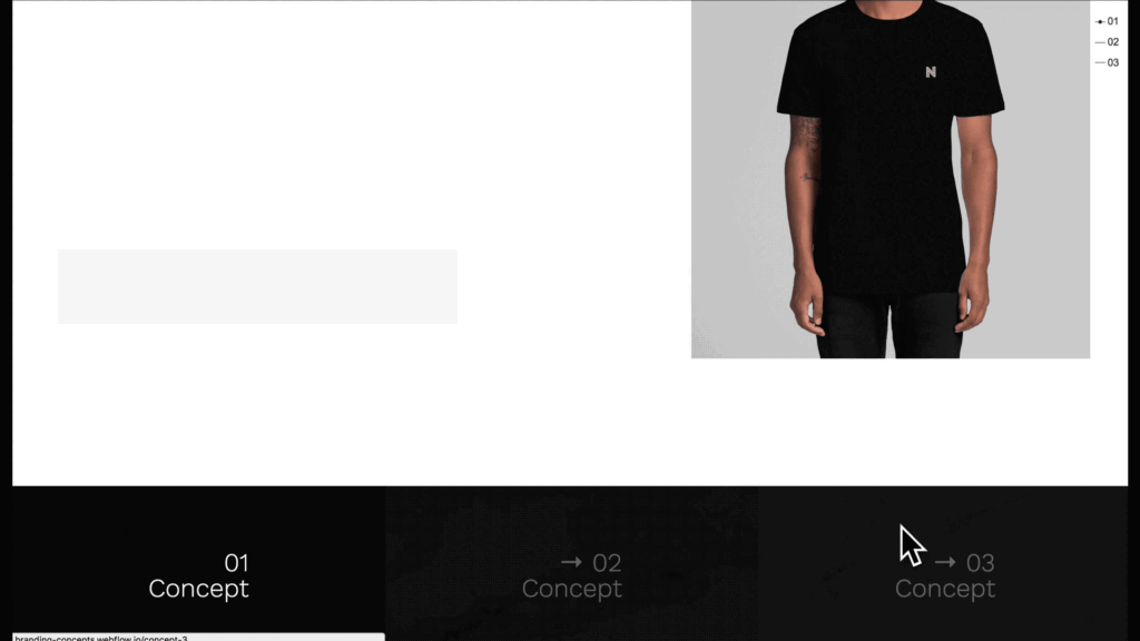 prezentarea perfectă