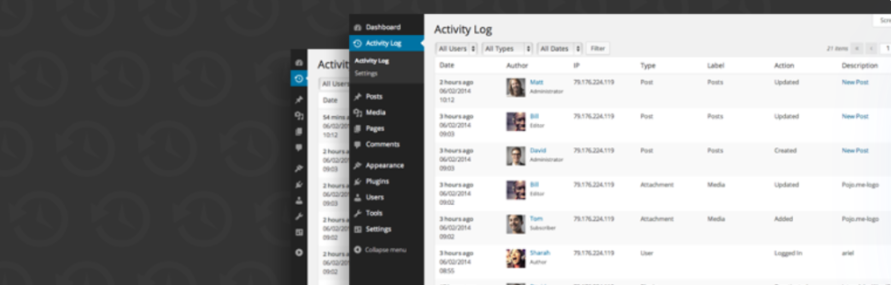 interfața site web pluginul activity log