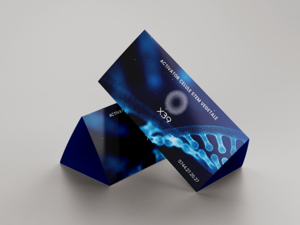 Life Wave stand mockup