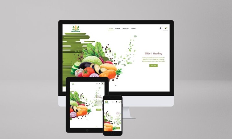 Seminte Website Mockup