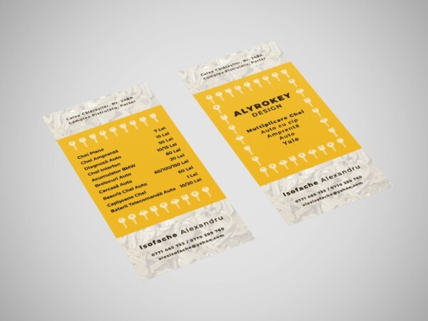 portofoliu-flyer-1dl-alyrokey-design-img