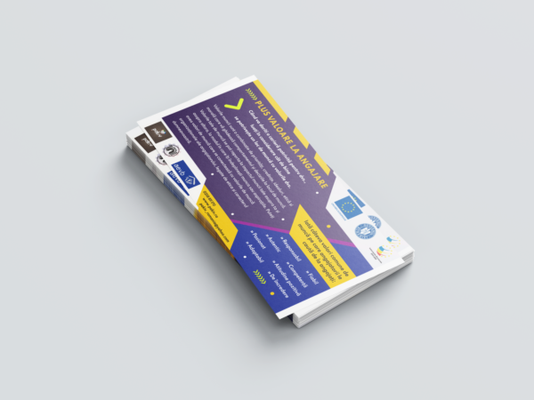 Pakiv Campania 6 - 135370 300x600px 1